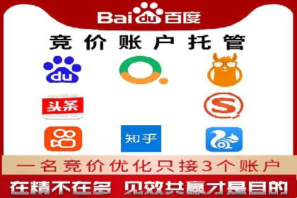 百度竞价推广案例：行业领军者成长故事